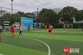 法甲赛季结束 大巴黎夺冠引发赛程调整热议